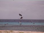 2000-04 Los Roques 004