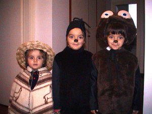 2002-02 Carnevale