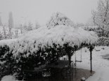 2009-01 Neve 2009-01-06 14-16 004