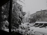 2009-01 Neve 2009-01-07 09-38 014