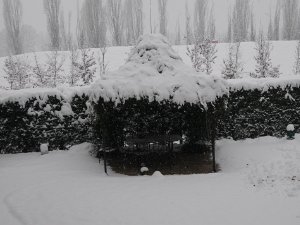 2009-01 Neve Nevica a Milano per ben 3 volte ed è sempre speciale. Si spala la piscina