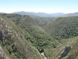 2010-01 Bungy Jump 2009-12-21 12-06 049