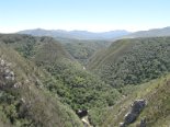 2010-01 Bungy Jump 2009-12-21 12-06 050