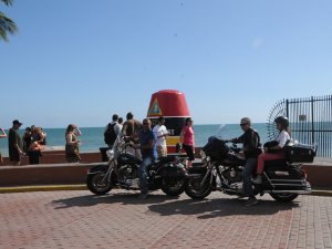 2011-02 Miami