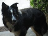 2011-06 Tobia 2011-05-18 17-47 125