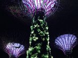 2015-08 Marina Bay Gardens 049