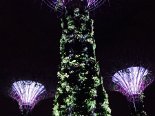 2015-08 Marina Bay Gardens 052