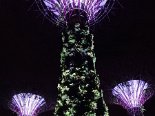 2015-08 Marina Bay Gardens 053