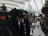 2015-08 Marina Bay Gardens 059