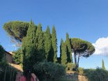 2018-06 Toscana - 4