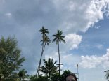 2019-05 Bintan Mamikend - 12