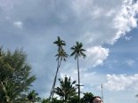 2019-05 Bintan Mamikend - 15