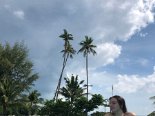 2019-05 Bintan Mamikend - 16